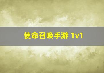 使命召唤手游 1v1